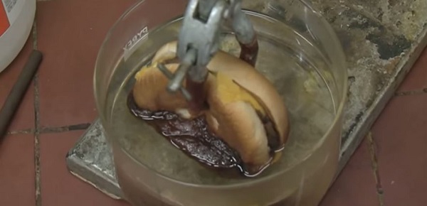 So This Is What Happens When You Put A McDonalds Cheeseburger In