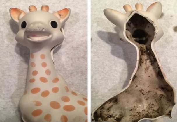 sophie the giraffe teddy