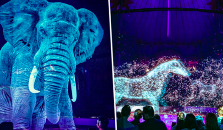 Circus Replaces Live Animals With Hypnotic Holograms For A Cruelty-Free Experience Circus Replaces Live Animals With Hypnotic Holograms For A Cruelty-Free Experience