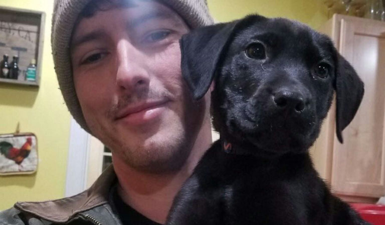Deaf man adopts deaf rescue puppy and teaches him sign language Deaf man adopts deaf rescue puppy and teaches him sign language